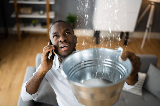 Best Water damage restoration insurance claims  in Plain City, UT