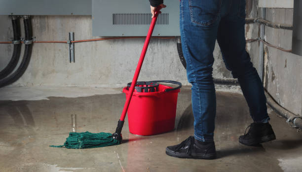 Best Professional water damage repair  in Plain City, UT