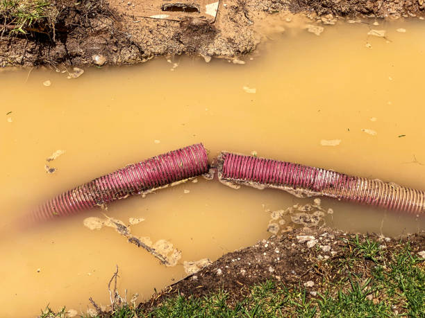 Local water damage restoration in Plain City, UT