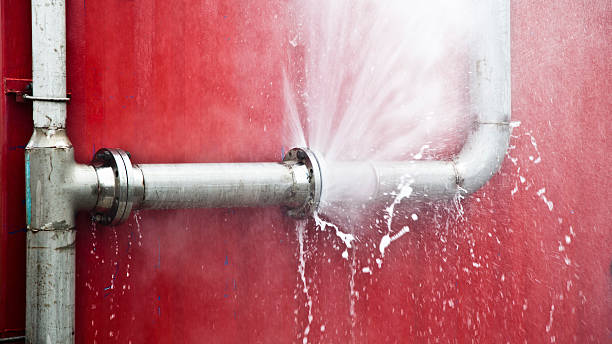 Best Water damage cleanup near me  in Plain City, UT